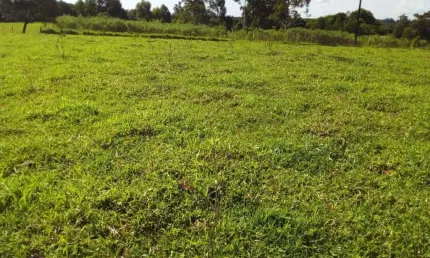 Sitio à venda em Reserva no Paraná.  - 5 alqueires.