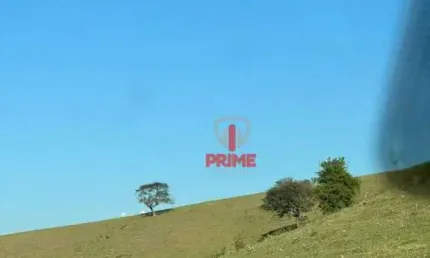 Fazenda à venda em Bandeirantes no Paraná.   - Com 98 alqueires,  formada no pasto