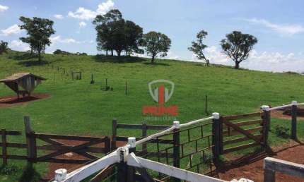 Fazenda à venda em Faxinal no Paraná.   - Com 68 alqueires sendo 23 alqueire de plantio.