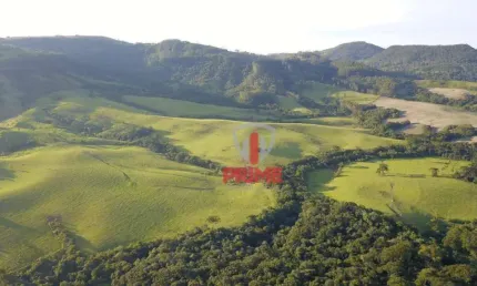 Fazenda à venda em Ortigueira no Paraná.   - Com 158 alqueires, 60 alqueires de plantio