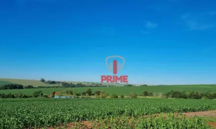 Fazenda à venda na Região de Maringá no Paraná. Com 100 alqueires, 90 alqueires de plantio, com benfeitorias, casa e barracão. 60 km de Londrina.  Val