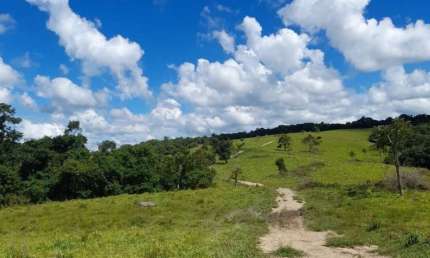 Fazenda à venda em Reserva no Paraná. Com 214 alqueires, 40 alqueires de lavoura a plantar, próximo do asfalto, bem formada, Rica de água.  R$ 17.000.