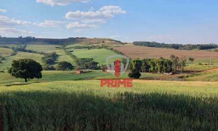 Fazenda à venda em Faxinal  - PR. Com 223 alqueires, 140 de plantio, 35 alqueires de pasto sujo, Terra roxa.  2.500 sacas o alqueire.