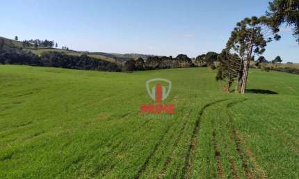 Fazenda à venda em Nova Laranjeiras, uma belíssima área de Terra para agricultura. - Com 42.5 alqueires, 33 alqueires de lavoura.