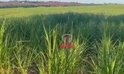 Sítio à venda em Paranavai no Paraná.    - Com 17 alqueires, 16 alqueires de plantio de cana.