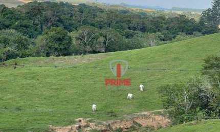 Fazenda à venda em Grandes Rios no Paraná. Com 223 alqueires. O valor é de 2.500 sacas de soja por alqueire.