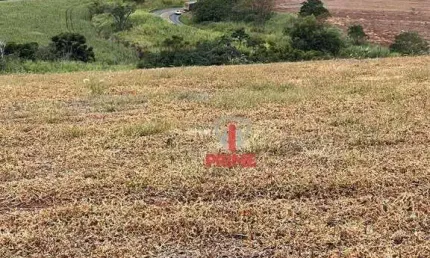 Sítio à venda em Lerrovile, distrito de Londrina. Com 14 alqueires, sendo 11,4 alqueires de plantio, 600 metros de testada com asfalto.  R$ 4.000.000,