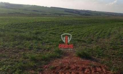 Fazenda à venda em Florestópolis no Paraná. Com 88 alqueires de plantio, sem perca. R$ 200.000,00 o alqueire. Entrada + 2 pagamentos.