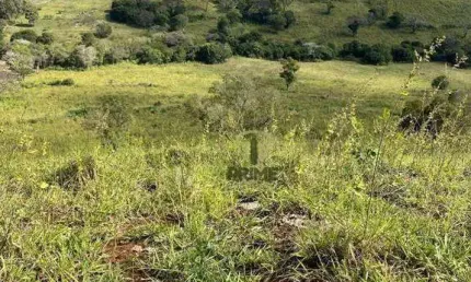 Sítio à venda em Bela Vista do Paraíso no Paraná. Com 17 alqueires em pasto com mangueira, todo cercado nas divisas e rico em água.