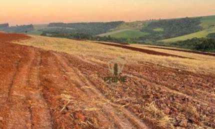 Sítio à venda em Mauá da Serra.   - Com 35 alqueires sendo 27 alqueires de plantio. 890 metros de altitude.  - Campo de semente.