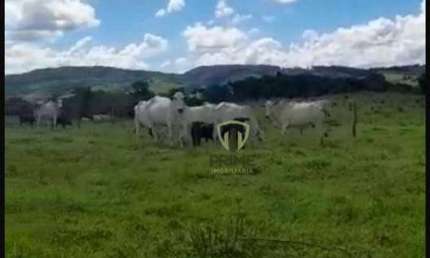 Fazenda à venda em Reserva no Paraná.   - Com 225 alqueires, aberto em torno de 150 alqueires.