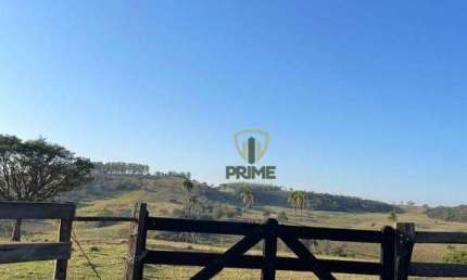 Fazenda à venda em Bandeirantes no Paraná.   - Com 98 alqueires, formada no pasto
