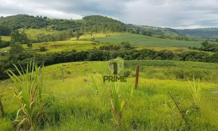 Sítio à venda em Tamarana no Paraná. Com 10 alqueires sendo 5 alqueires de plantio, 4 alqueires de pasto. Curral novo, Galinheiro, duas represas, poço