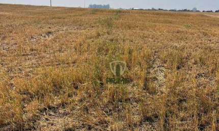 Área urbana e rural à venda no Distrito de San Martin em Rolândia no Paraná.   - Com 3 alqueires, 100% regularizado como urbano, 2 km da cidade e na B