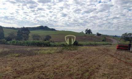 Fazenda à venda em São Miguel do Oeste em Santa Catarina.    - Com 530 alqueires, sendo 6 matrículas, 130 alqueires de plantio hoje e abre mais 80 à 1