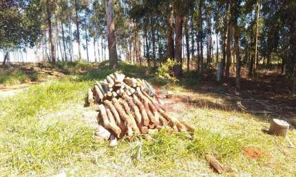 Fazenda à venda em Guaraniaçu no Paraná. Localizada à 35 km do Rio São Francisco 65 km de Cascavel,  80 km de Laranjeiras do Sul, 350 km de Maringá. C