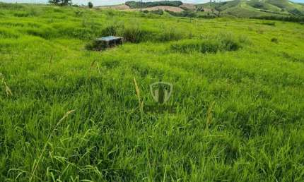 Fazenda à venda em Cândido de Abreu - Paraná.   - Com 216 Alqueires, sendo 145 Alqueires de pasto alto
