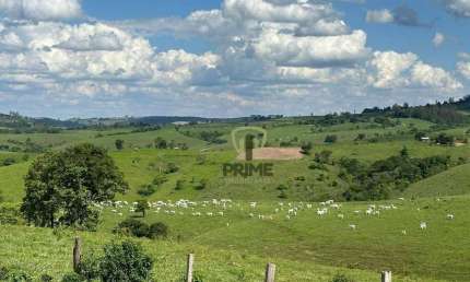 Fazenda à venda em Rosário do Ivaí - Paraná com 95 Alqueires sendo 80 Alqueires de pasto. 16 KM de Rosário do Ivaí, estuda parcelamento