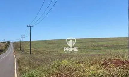 Fazenda à venda em Apucarana no Paraná.  - Com 250 Alqueires, 200 Alqueires de plantio, 30 de reserva e 20 de pasto.