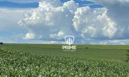 Fazenda à venda em Sertaneja-PR.   - Com 150 alqueiresde plantio a 2 KM do asfalto