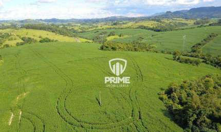 Fazenda à venda em Rosário do Ivaí-PR.   - Com 69 alqueires, sendo 42 de plantio e 2 alqueires para abrir.