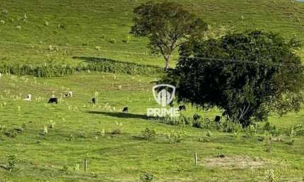 Fazenda à venda em Leópolis-PR.   - Com 75 alqueires, toda em pasto, 25 alqueires pode plantar.