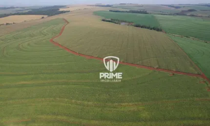 Fazenda à venda em São Martinho - cidade de Rolândia.   - Com 168 alqueires, 147 alquieres de plantio
