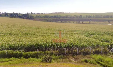 Fazenda à venda em Londrina no Paraná. Com 43 alqueires no total sendo 35 alqueires para plantação, criação de bovinos, suínos e cultivo de agricultur
