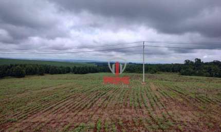 Fazenda à venda em Ponta Grossa no Paraná. Com 14 alqueires, 12 alqueires mecanizado, 2 alqueires de mata, nascente de água, 7Km da rodovia, em ótima