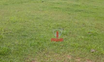Fazenda à venda em Mauá da Serra no Paraná. Com 110 alqueires, ideal para gado, mecanizada - 30 alqueires, casa sede, mangueira, barracão, corredor de
