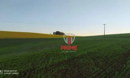 Fazenda à venda em Guaravera no Paraná. Com 90 alqueires sendo 80 alqueires plantando. Com barracão e tem 10Km de distância do asfalto até porteira da