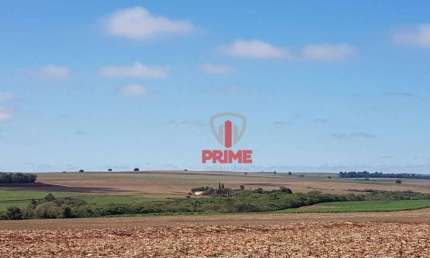 Fazenda à venda em Bandeirantes no Paraná. Com 254 Alqueires sendo 210 plantando, 40 de mata nativa, 4 alqueires. Sede, pista para pouso de avião, ter