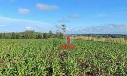 Fazenda à venda em Sertaneja no Paraná. Com 70 Alqueires plantando inteira, melhor lugar para soja, terra roxa.  ** Estuda parcelamento**.