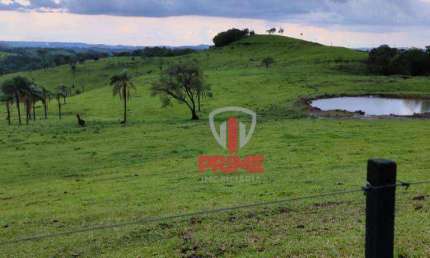 Fazenda à venda em Guaraniaçu no Paraná. Com 256 alqueires,  20 alqueires de plantio, 28 piquetes, cercas toda madeira de lei, mangueira ótima, casa s
