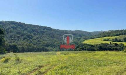 Sítio à venda em Jardim Alegre no Paraná.   - Com 200 alqueires, planta 80 - 50 alqueires de Pasto.