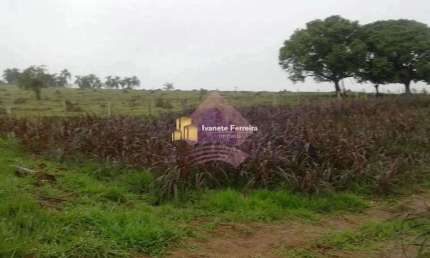 Área, Putim, São José dos Campos - R$ 45 mi, Cod: 34941244