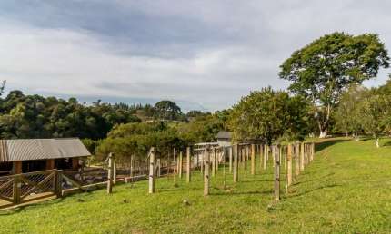 Chácara / sítio com 2 quartos à venda na Hermes Candido de Sa, 115, Colônia Marcelino, São José dos Pinhais por R$ 995.000