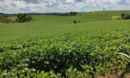 Chácara / sítio à venda na Sp-139, 100, Centro, São Miguel Arcanjo