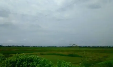 Fazenda Rural à venda, Distrito de Icatú, Presidente Vargas - FA0025.