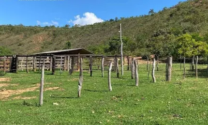 Fazenda com 2 salas à venda na Avenida das Torres, 100, Olhos D'Água, Belo Horizonte