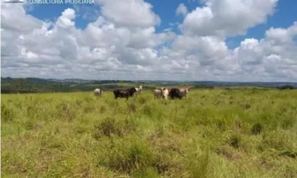 Fazenda rural à venda, centro, são gonçalo do abaeté - fa0036.