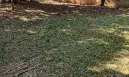 Terreno Residencial à venda, Jardim Bandeirantes, Sorocaba - TE0358.