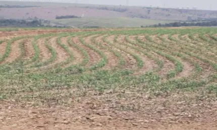Chácara / sítio com 5 quartos à venda na ÁRea Rural, 100, Centro, Santa Maria da Serra
