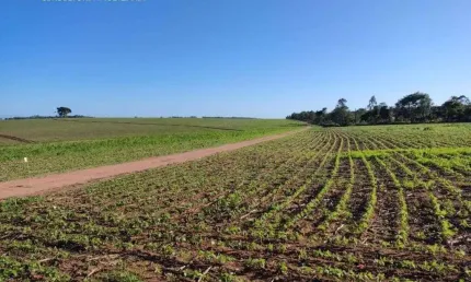 Fazenda com 1 sala à venda na Rua Barbosa Franco, 88, Centro, Itapetininga
