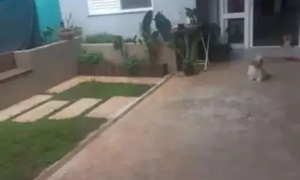 Casa com 2 quartos à venda na Rua Salvador Pereira de Camargo, 100, Éden, Sorocaba