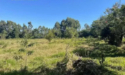 Terreno residencial à venda, parque monte bianco, araçoiaba da serra - te0655.