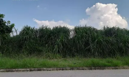Terreno residencial à venda, além ponte, sorocaba - te0879.