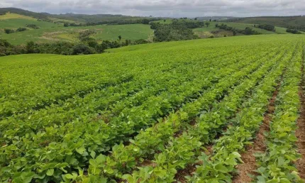 Chácara / sítio à venda na Av. Miguel Petrere, 44, Centro, Pilar do Sul