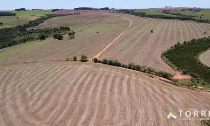Fazenda à venda na Rodovia Raposo Tavares, 33, Centro, Avaré