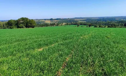 Fazenda à venda na Rua Altino Arantes, 10, Centro, Capão Bonito